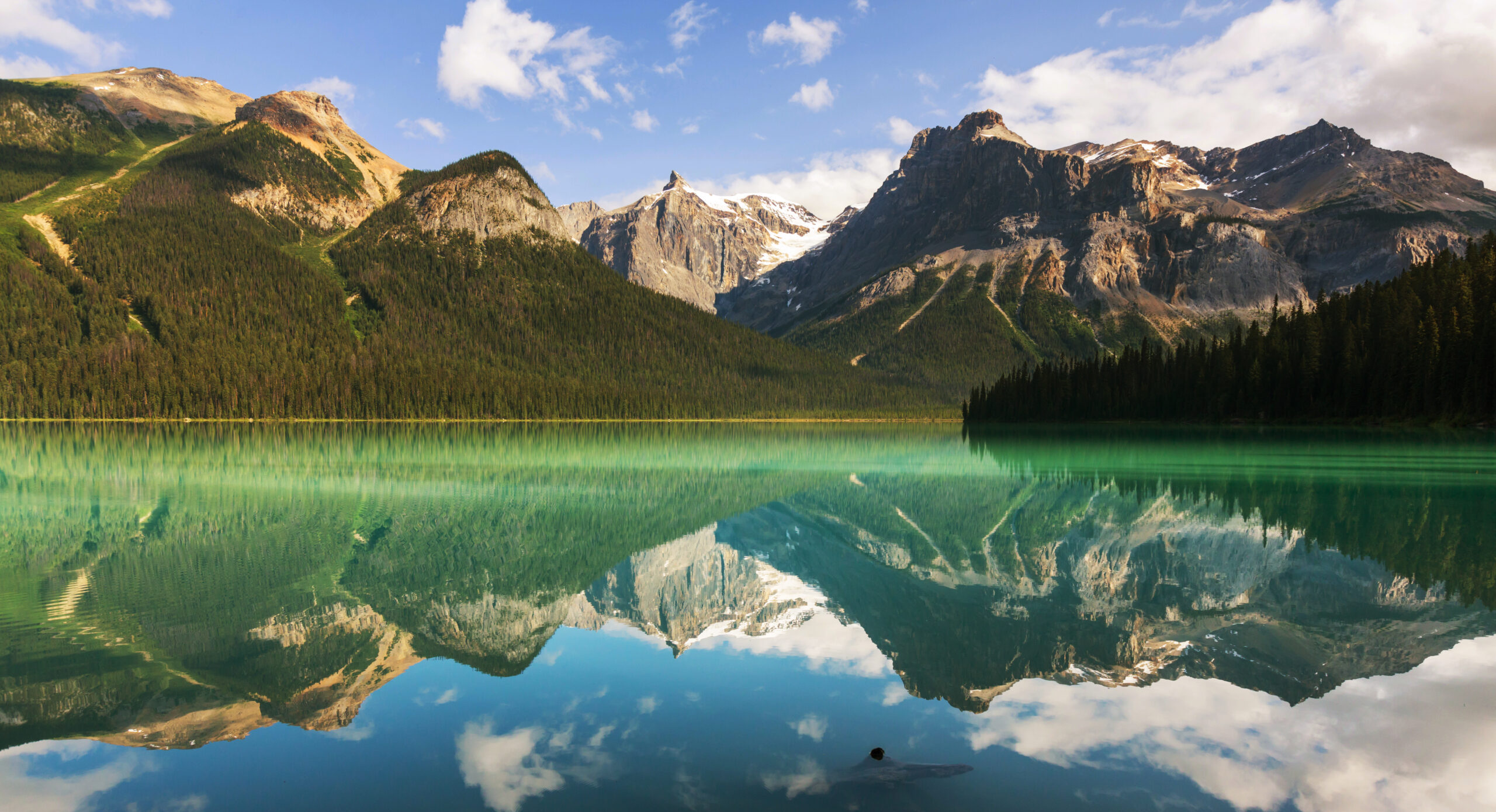 COLOURBOX14922008 scaled e1768229358978