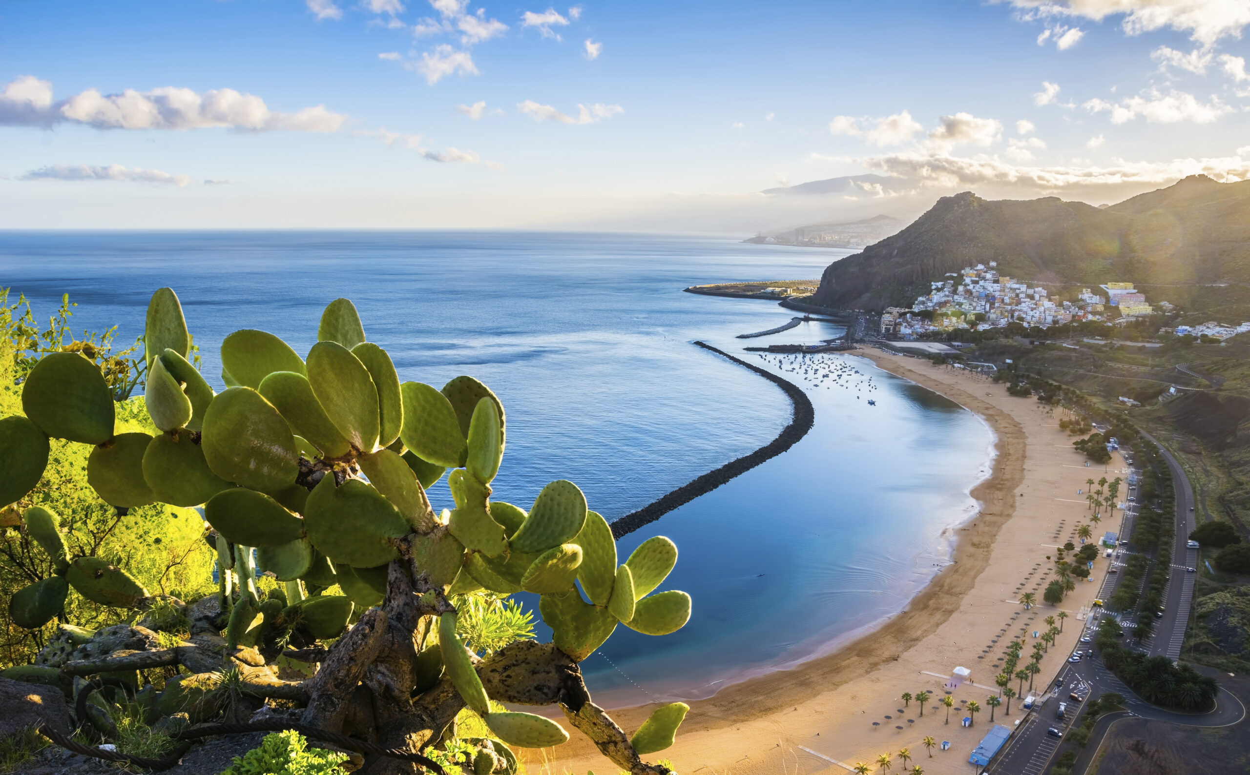 MSC22013509 1 1 scaled