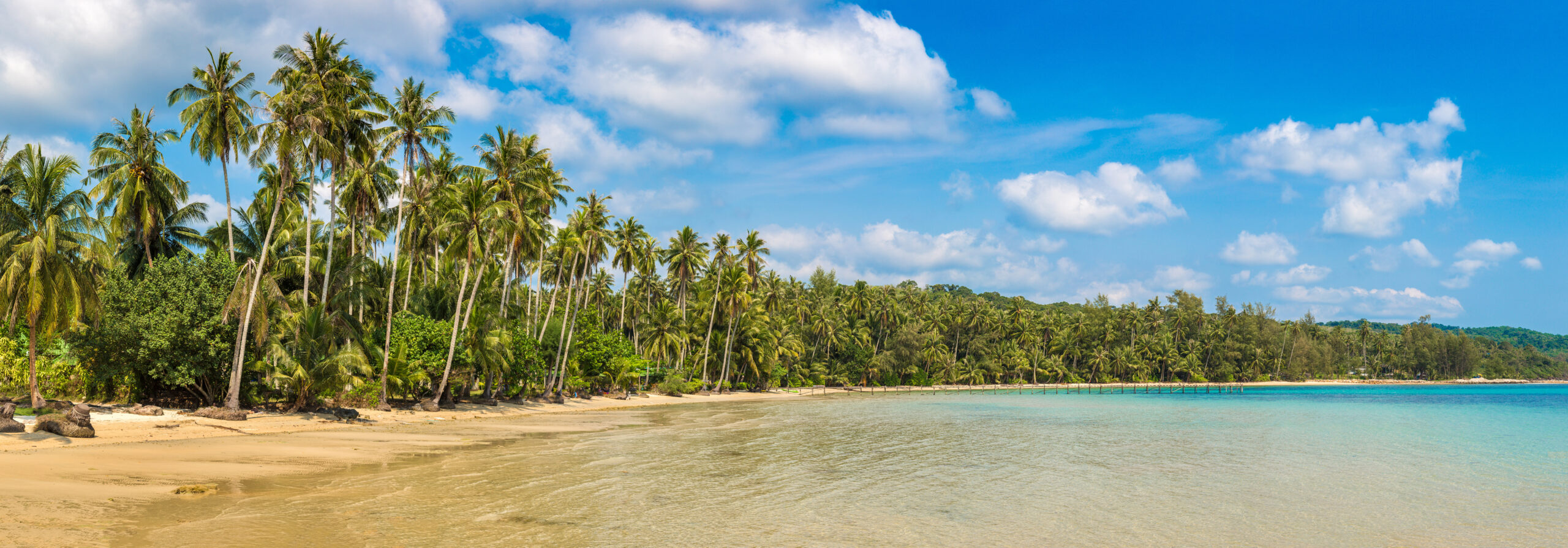 COLOURBOX66028003 scaled