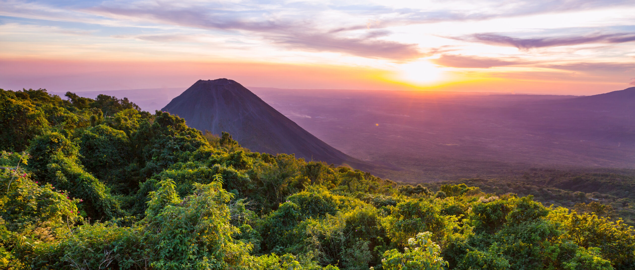 COLOURBOX41970656 scaled e1772800660769