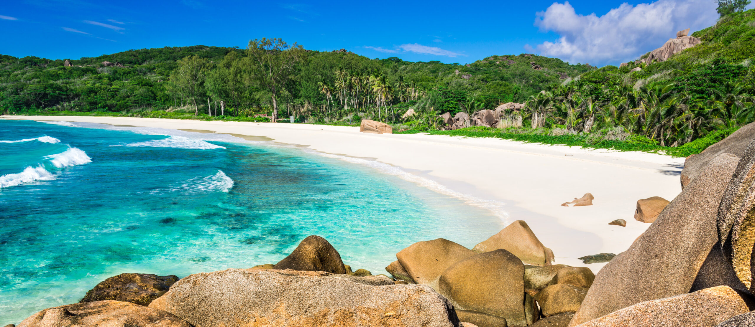 COLOURBOX9715472 scaled e1772791453954